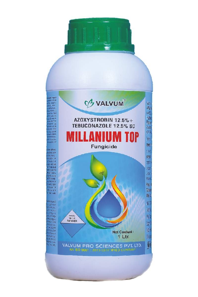 Millanium Top